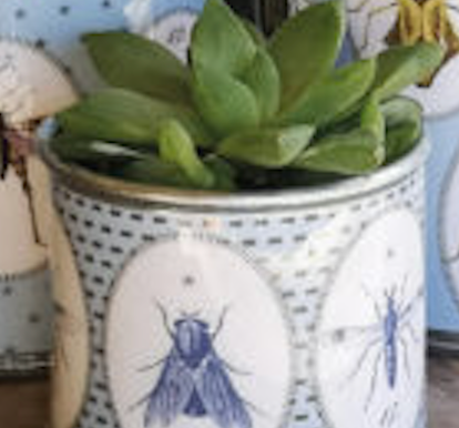 Tin Planters - Bugtasia - Blue-Grey