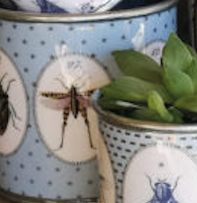 Tin Planters - Bugtasia - Blue-Grey