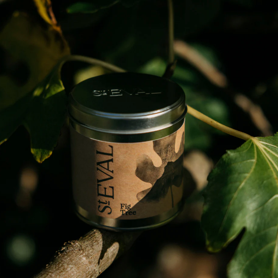 St Eval Scented Tin Candle - Fig Tree