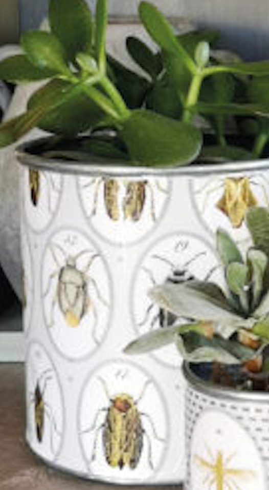 Tin Planters - Bugtasia - Taupe