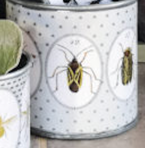 Tin Planters - Bugtasia - Taupe