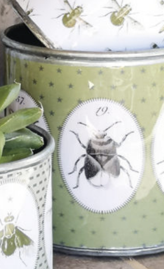 Tin Planters - Bugtasia - Olive