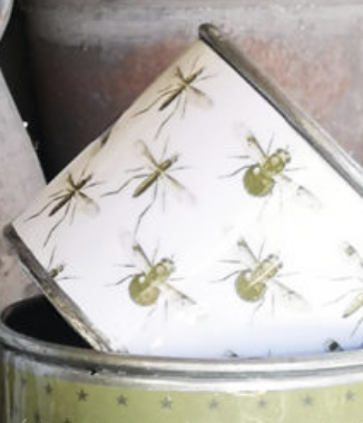 Tin Planters - Bugtasia - Olive