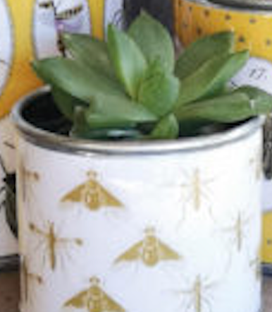 Tin Planters - Bugtasia - Dijon