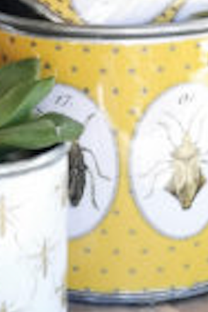 Tin Planters - Bugtasia - Dijon