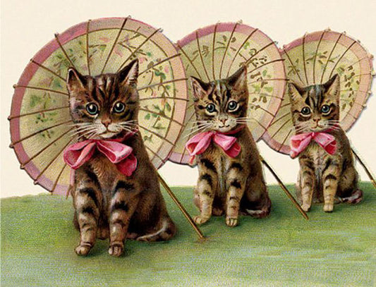Three Kittens - Greeting Card