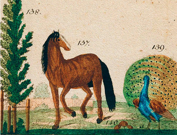 Horse & Peacock - Greeting Card