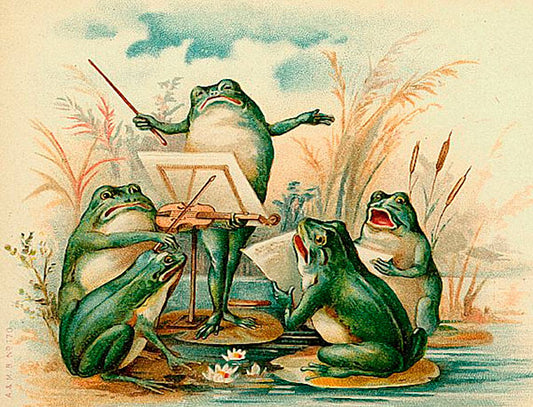 The Frog Chorus