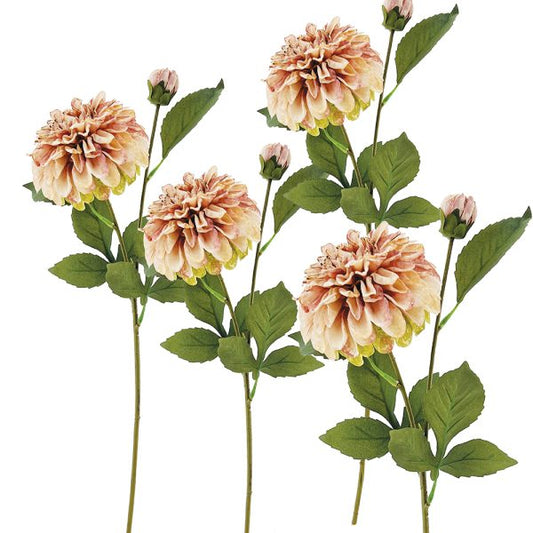 Dahlia Pink/Green