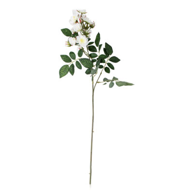 Climbing Rose Stem - Cream