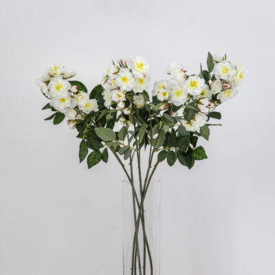 Climbing Rose Stem - Cream