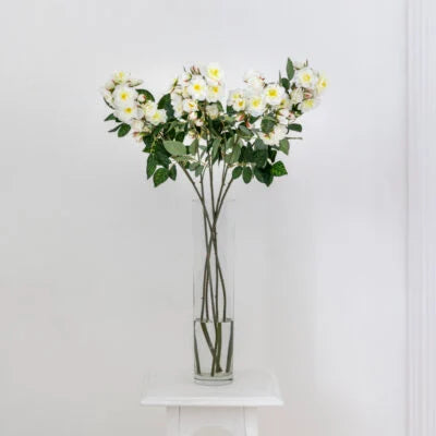Climbing Rose Stem - Cream
