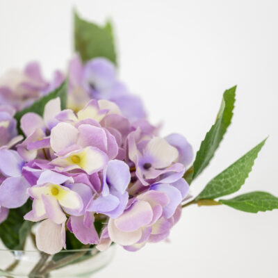 Hydrangea Stem - Mauve