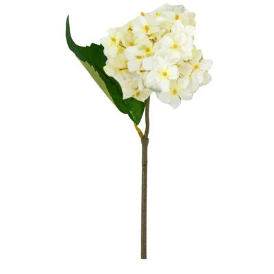Hydrangea Stem - Cream