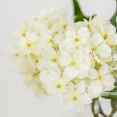 Hydrangea Stem - Cream