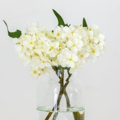 Hydrangea Stem - Cream
