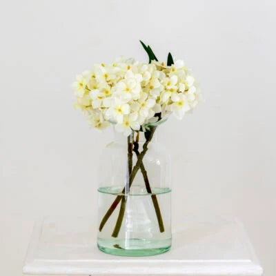 Hydrangea Stem - Cream