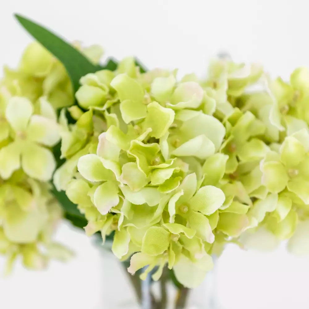 Hydrangea Stem - Green
