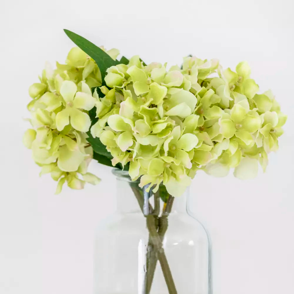 Hydrangea Stem - Green