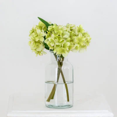 Hydrangea Stem - Green