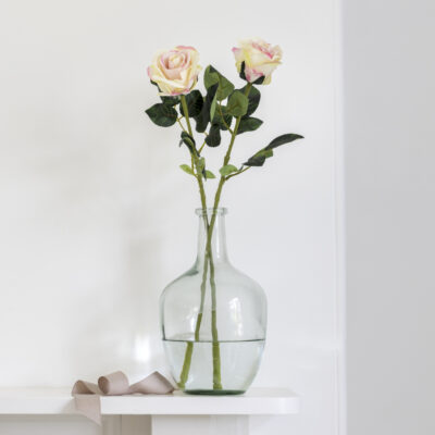 Rose Stem - Pink Edged