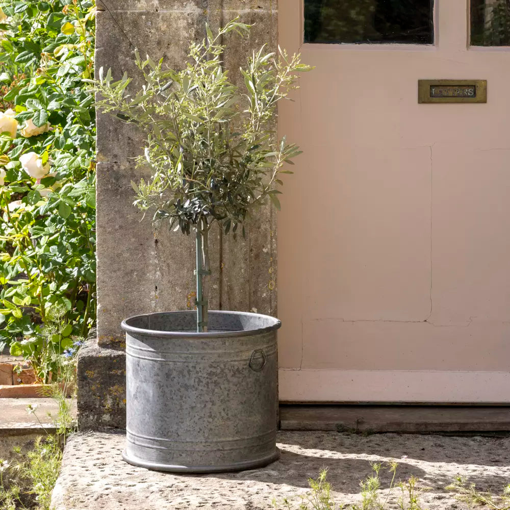 Wilton Round Zinc Planter