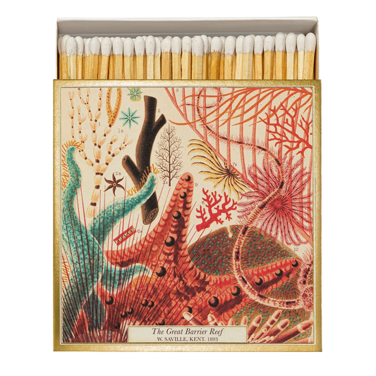 Box of Matches - The Great Barrier Reef
