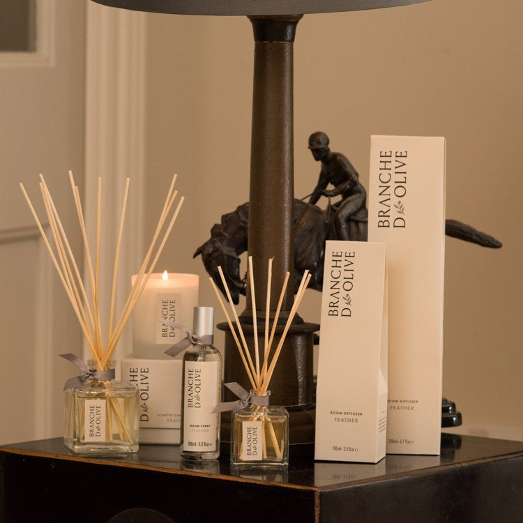 Room Diffuser - Feather