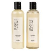Hair Care, Shampoo - Olive