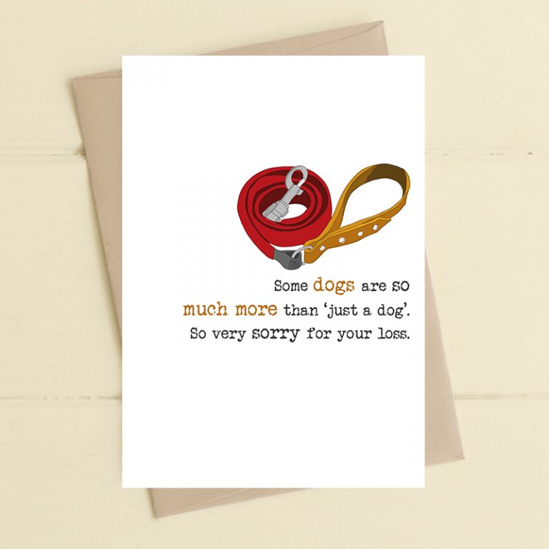 Some Dogs Are So Much More